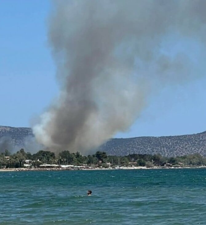 Φωτιά στον Μαραθώνα - Μήνυμα του 112 για απομάκρυνση κατοίκων από τον οικισμό Ριζάρι