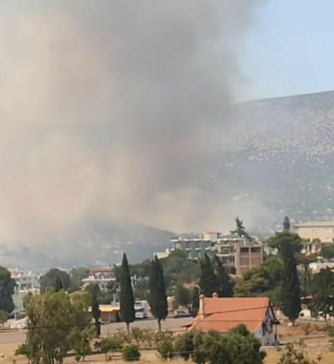 Φωτιά στην Αλυκή Βοιωτίας: «Προλάβαμε τα χειρότερα» - Εκτός κινδύνου ο οικισμός