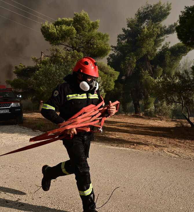 Antinero: Καταγγελία-μαμούθ για το μεγαλύτερο πρόγραμμα δασικής πρόληψης