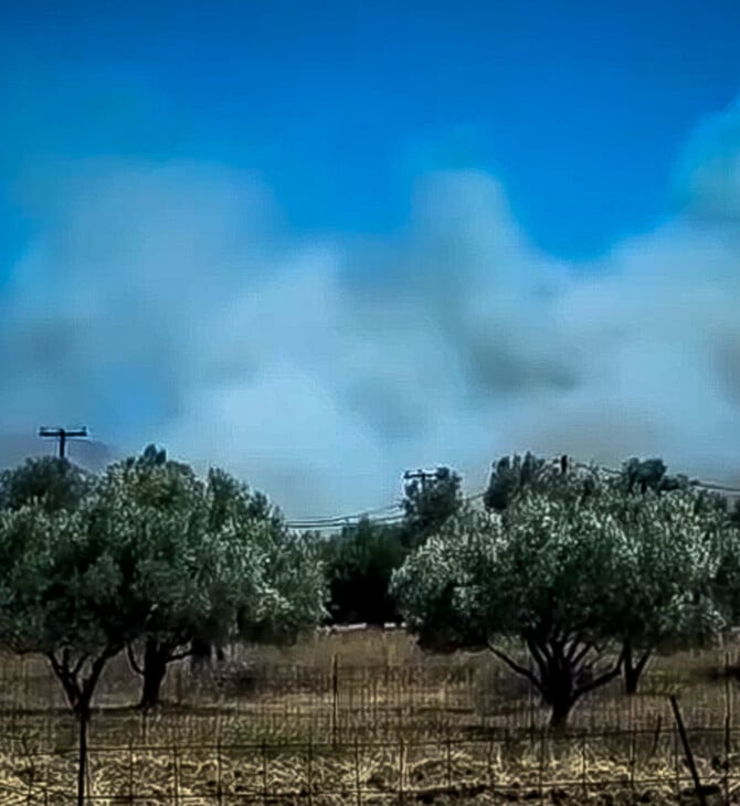 Σε ύφεση η φωτιά στο Αλιβέρι: Πως ξεκίνησε – Συνελήφθη ένας 60χρονος