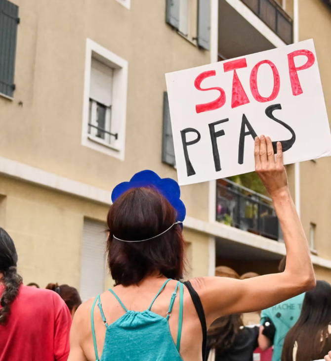 Επαναστατική ανακάλυψη: Εντερικά μικρόβια απομακρύνουν «παντοτινά χημικά» από το σώμα