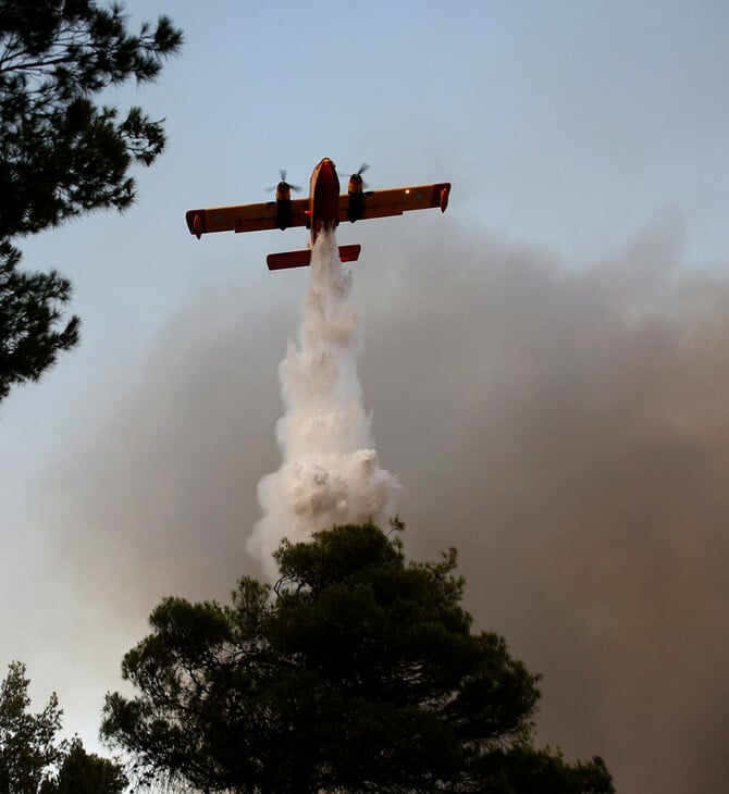 Φωτιά στην Ηλεία: Σε ύφεση η πυρκαγιά στο Γεράκι Αμαλιάδας 