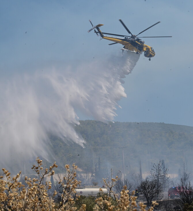 Φωτιές: 55.540 στρέμματα κάηκαν σε Κύθηρα, Εύβοια, Αττική, Χανιά και Μεσσηνία