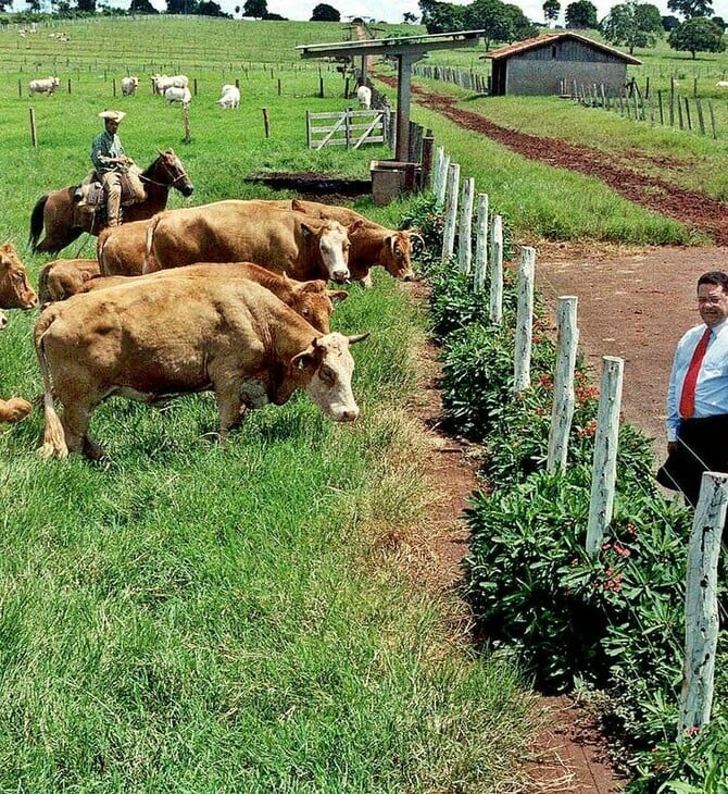 Βραζιλία: Η απειλή Τραμπ για δασμούς 50% σε πορτοκάλια, καφέ και βοδινό φέρνει αναταραχή στους αγρότες