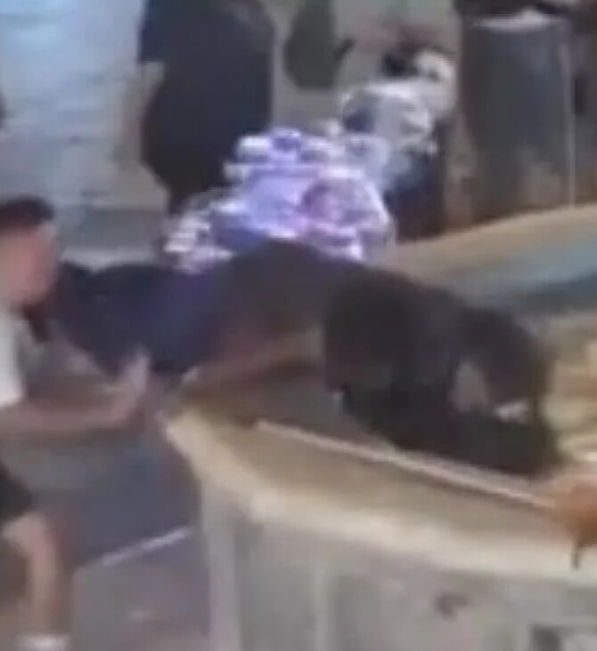 ΡΟΔΟΣ ΑΣΤΕΓΟΣ ΣΙΝΤΡΙΒΑΝΙ