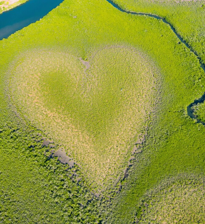 «The Heart of Voh»: 