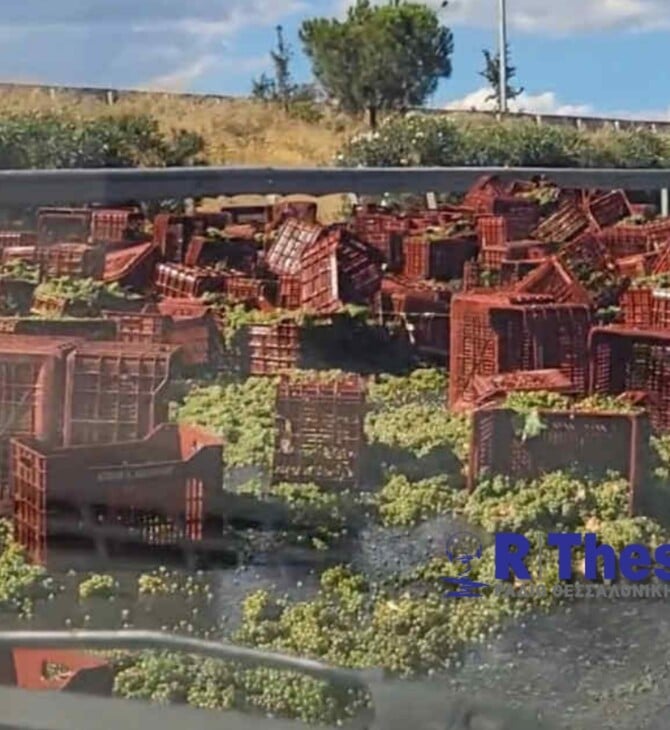 ΣΤΑΦΥΛΙΑ ΤΡΟΧΑΙΟ ΘΕΣΣΑΛΟΝΙΚΗ