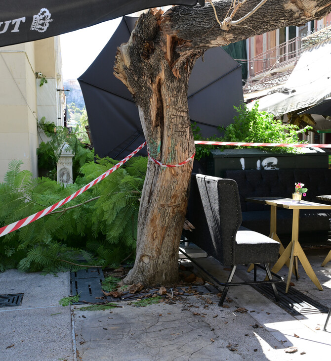 Η ανακοίνωση του Δήμου Αθηναίων για τον τραυματισμό δύο πολιτών από τις πτώσεις δέντρων