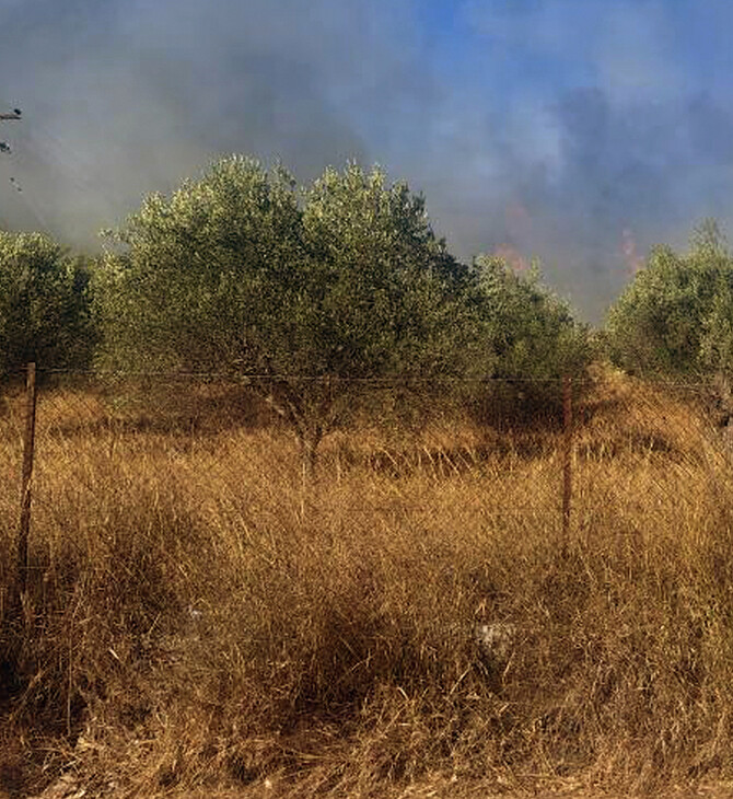 Αργολίδα: Σε ύφεση η φωτιά που ξέσπασε στην περιοχή Κουνούπι
