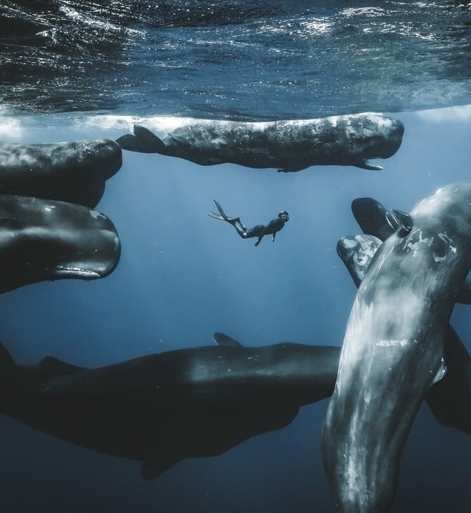 Ocean Photographer of the Year 2025