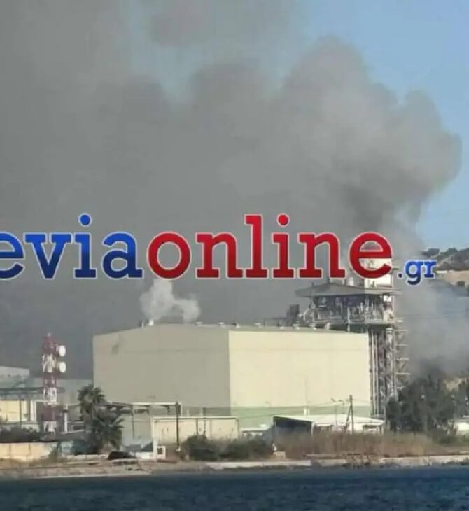 Εύβοια: Φωτιά τώρα στο Μηλάκι - Καίει κοντά σε εργοστάσιο