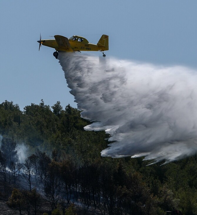 Φωτιά στην Πάτρα: Μεγάλη κινητοποίηση της Πυροσβεστικής