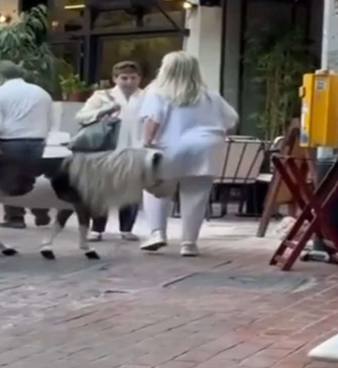 Γυναίκα βγήκε βόλτα με το πόνυ της στο κέντρο της Αθήνας 