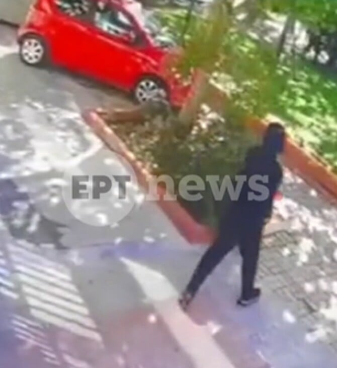 ΠΕΡΙΣΤΕΡΙ ΣΥΜΠΛΟΚΗ ΒΙΝΤΕΟ