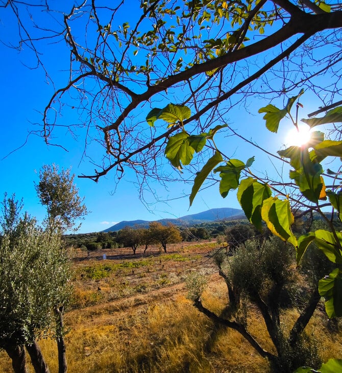 Καιρός σήμερα: Ανεβαίνει η θερμοκρασία σε όλη τη χώρα - Πού θα βρέξει