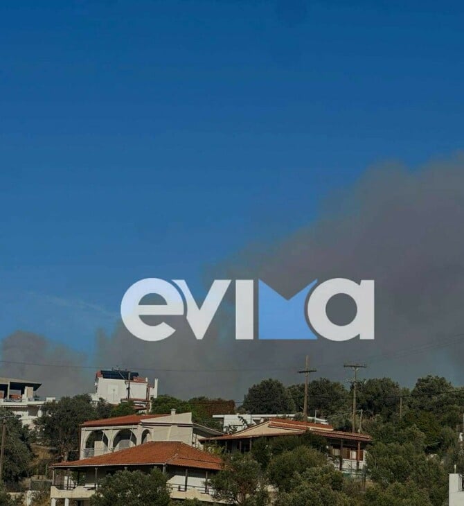 Φωτιά τώρα στην Εύβοια: Κοντά σε σπίτια οι φλόγες 