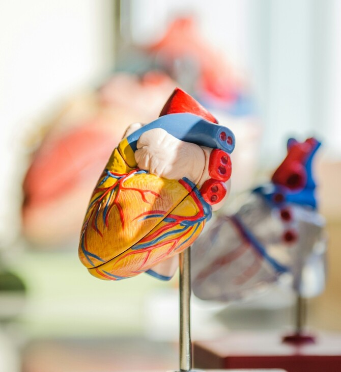 ΠΑΓΚΟΣΜΙΑ ΗΜΕΡΑ ΘΡΟΜΒΩΣΗΣ