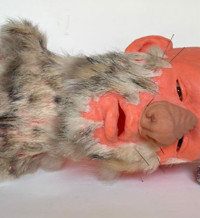 Ζωομορφισμοί