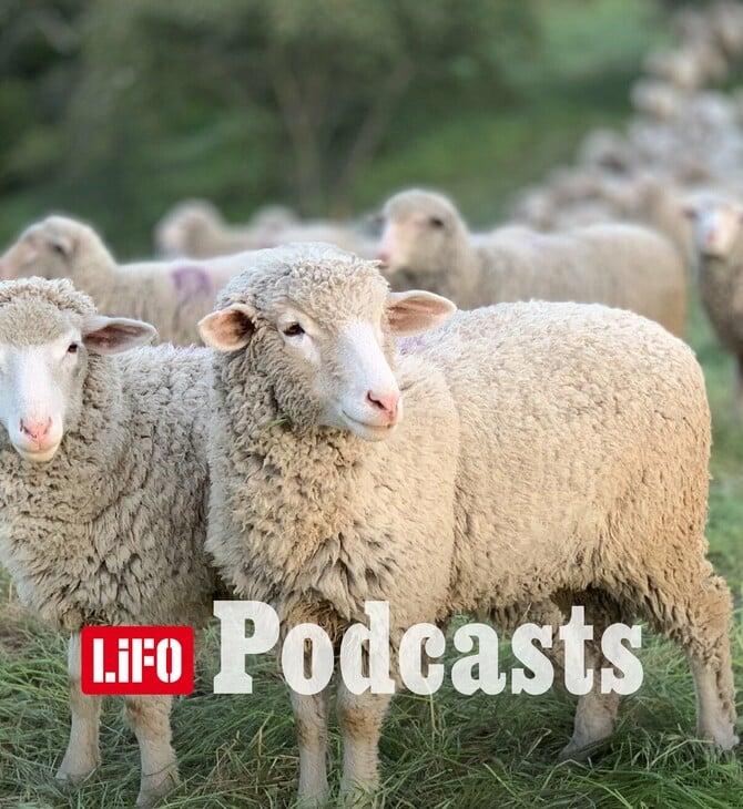 «Ο φραπές, ο χασάπης και η Πόπη με τη Φεράρι»: Γιατί κανείς δεν θέλει να γίνει αγρότης 