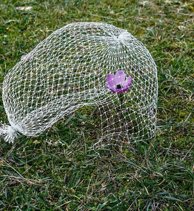 Κωνσταντίνος Πάτσιος & Μάριος Φούρναρης: Nature inside the walls