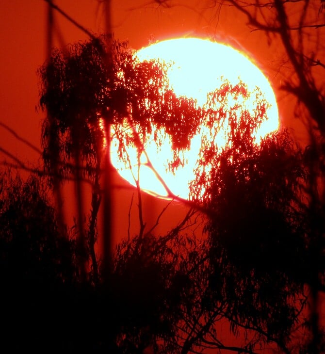 Κλιματική κρίση: Η ζέστη σκοτώνει ένα άτομο το λεπτό παγκοσμίως