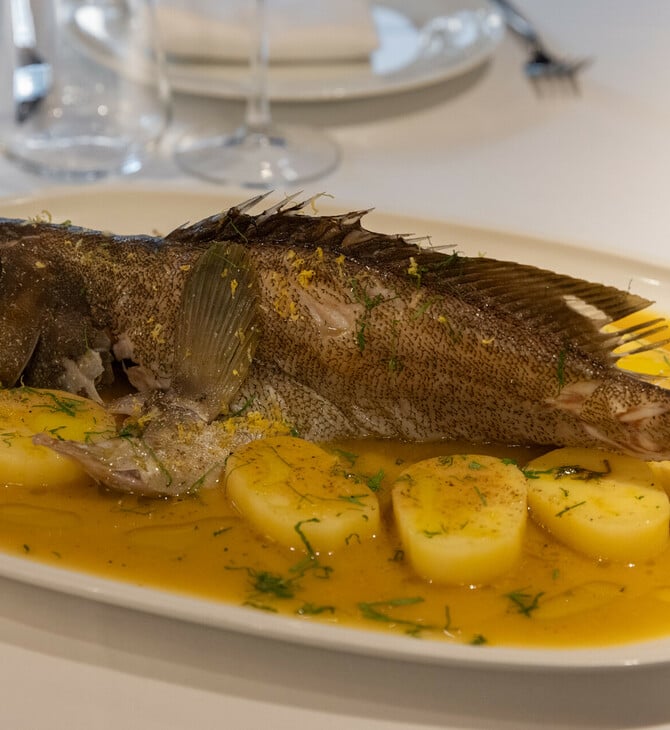 Όχι άλλη σφυρίδα! 