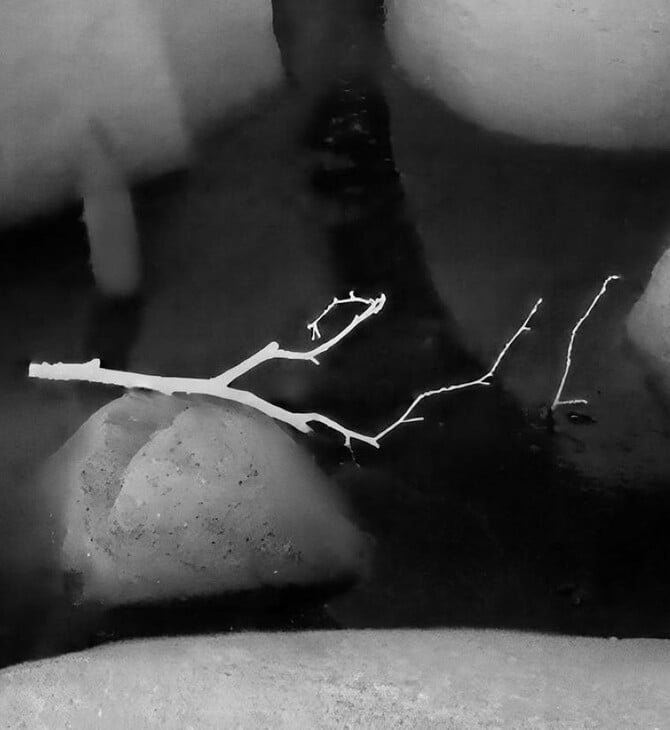 Η κλιματική κρίση μέσα από τον φακό θερμικής κάμερας του National Geographic