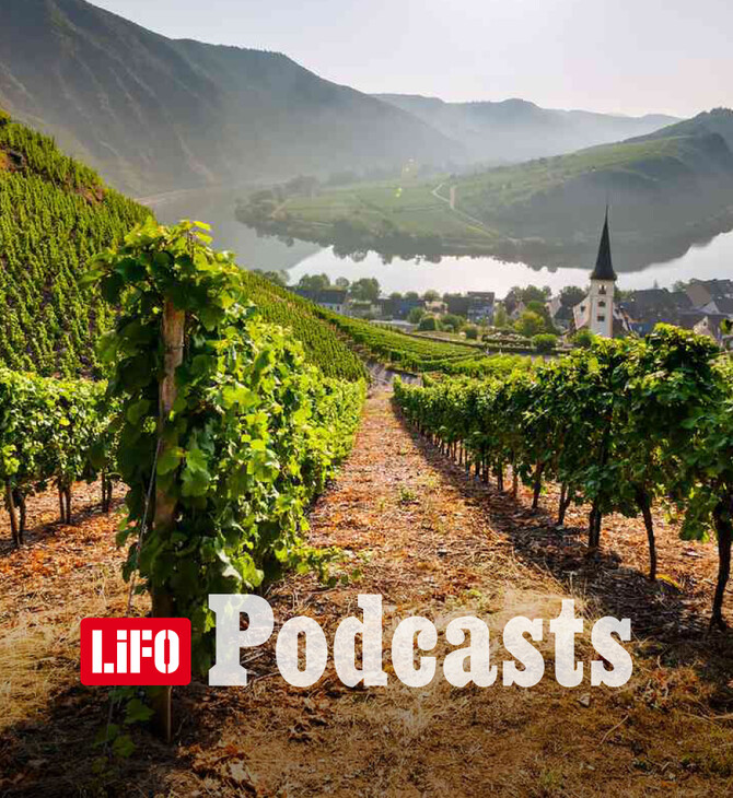 Pfalz: Η νέα δύναμη του Riesling και του Pinot Noir, που «ταράζει» την Ευρώπη