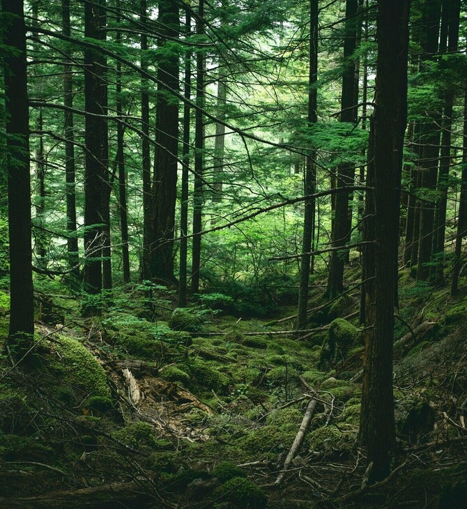 Πώς και πού θα αποθηκεύεται το διοξείδιο του άνθρακα;