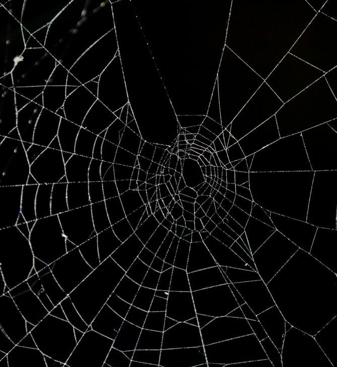 Στην Ελλάδα ο μεγαλύτερος ιστός αράχνης στον κόσμο