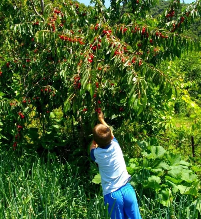 « Βγαίνω από το σπίτι μου το πρωί και πηγαίνω με ευχάριστη διάθεση στη δουλειά»