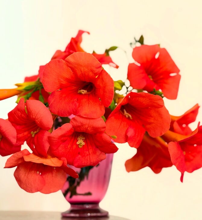 Εγώ τις νύχτες δεν τις ήξερα 