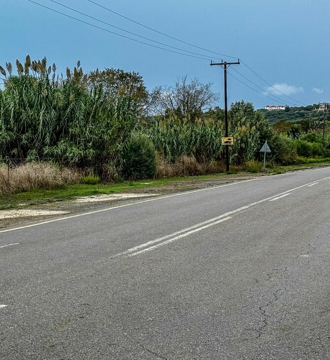 ΦΟΙΝΙΚΟΥΝΤΑ ΔΟΛΟΦΟΝΙΑ ΚΑΜΠΙΝΓΚ