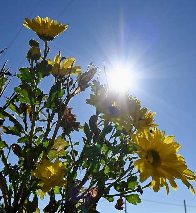 Καιρός: Ηλιοφάνεια και υψηλές θερμοκρασίες σε όλη τη χώρα σήμερα