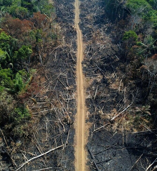 Αμαζόνιος: Το τροπικό δάσος στη Βραζιλία κινδυνεύει με περαιτέρω αποψίλωση 