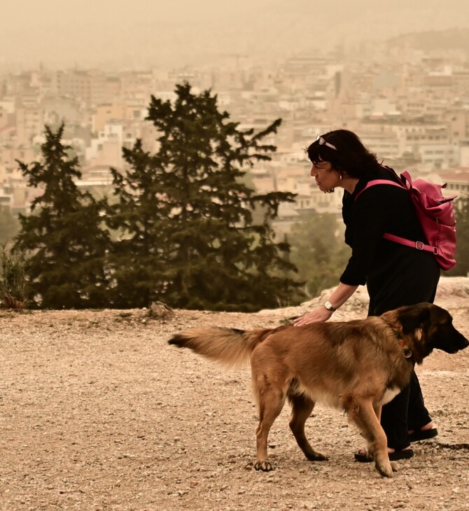 ΚΑΙΡΟΣ ΑΦΡΙΚΑΝΙΚΗ ΣΚΟΝΗ