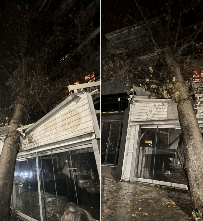 Κακοκαιρία: Ισχυρές βροχοπτώσεις σε Ιωάννινα και Θεσπρωτία - Ζημιές από κεραυνούς και πτώσεις δέντρων