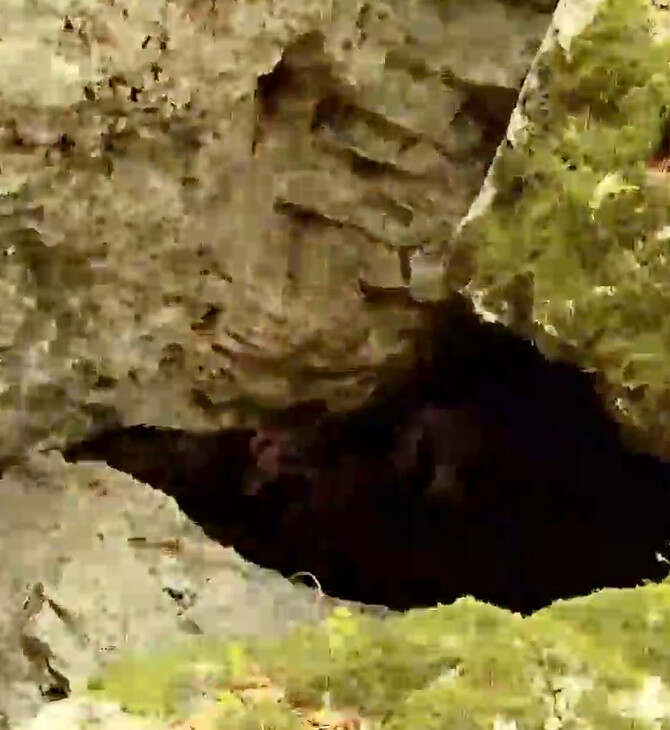 Εξαφάνιση Αμαλίας Νικολοπούλου: Η αποσύνθεση της σορού έγινε στη σπηλιά - Τα πρώτα ευρήματα των Αρχών