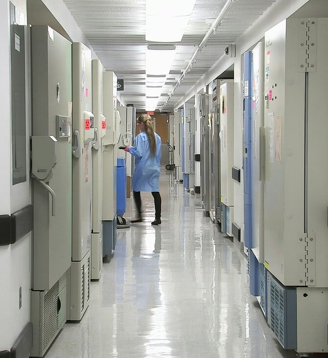 Έδεσσα: Σταθερή η κατάσταση του ζευγαριού που κατανάλωσε δηλητηριώδη μανιτάρια - «Τα μάζεψε ο πατέρας μου»