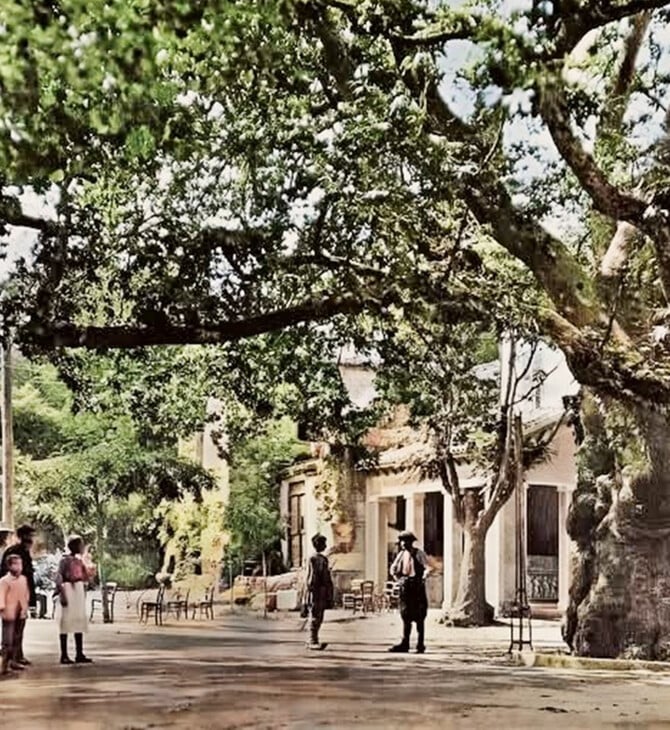 Eκδρομή στην Κηφισιά