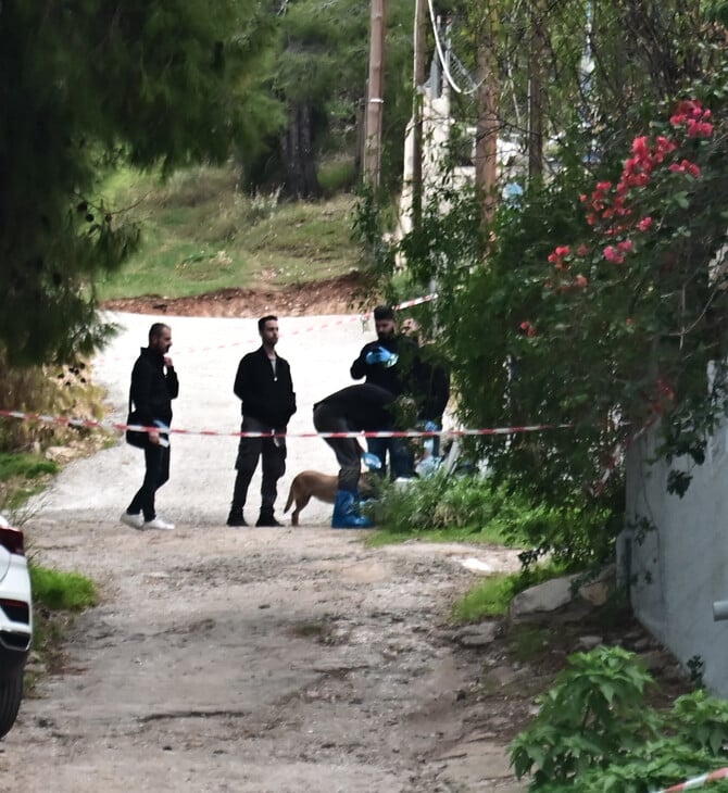 Δολοφονία στη Σαλαμίνα: «Φώναζε και φοβήθηκα ότι θα με αναγνωρίσει» - Τι ομολόγησε η νύφη της 75χρονης