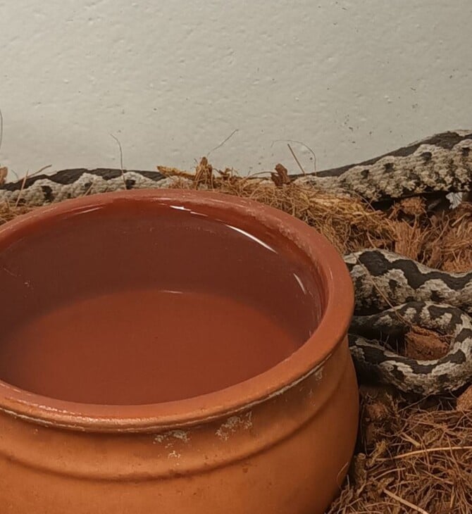 ΟΧΙΑ ΜΑΡΟΥΣΙ