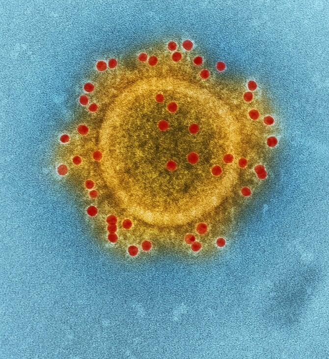 ΓΡΙΠΗ ΠΤΗΝΩΝ COVID