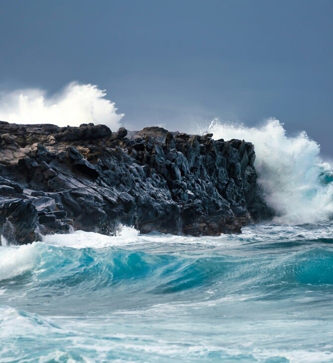 ΚΑΚΟΚΑΙΡΙΑ ΤΣΑΤΡΑΦΥΛΛΙΑΣ ΑΦΡΙΚΑΝΙΚΗ ΚΑΤΑΙΓΙΔΑ