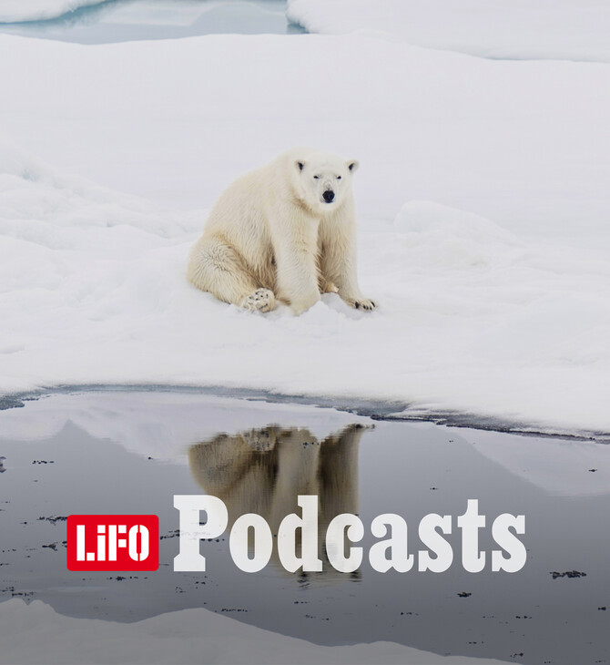 Περνάνε οι COP, αλλά οι πάγοι συνεχίζουν να λιώνουν