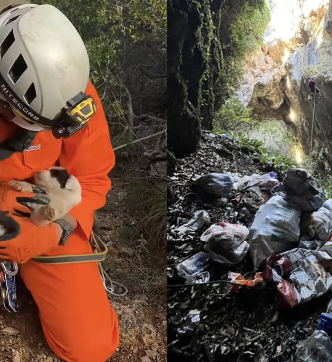 Κατέληξε το κουτάβι που είχε διασωθεί από βάραθρο στο Πήλιο