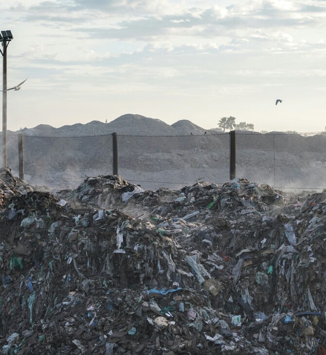 ΧΩΜΑΤΕΡΗ ΣΚΟΥΠΙΔΙΑ ΕΥΡΩΠΗ ΗΝΩΜΕΝΟ ΒΑΣΙΛΕΙΟ