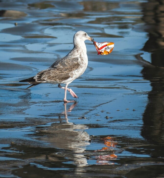 ΡΥΠΑΝΣΗ ΠΛΑΣΤΙΚΟ