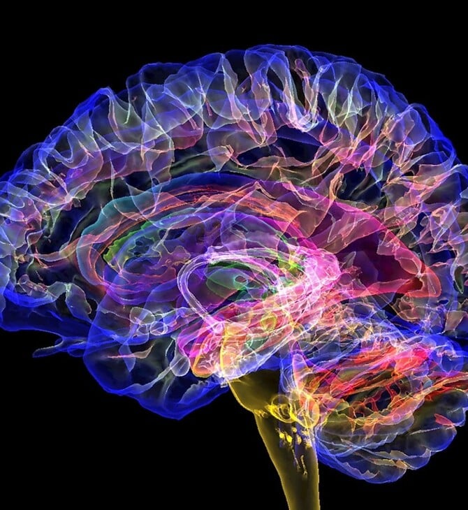 9, 32, 66 και 83 ετών: Αυτές είναι οι πέντε κρίσιμες ηλικίες του ανθρώπινου εγκεφάλου 