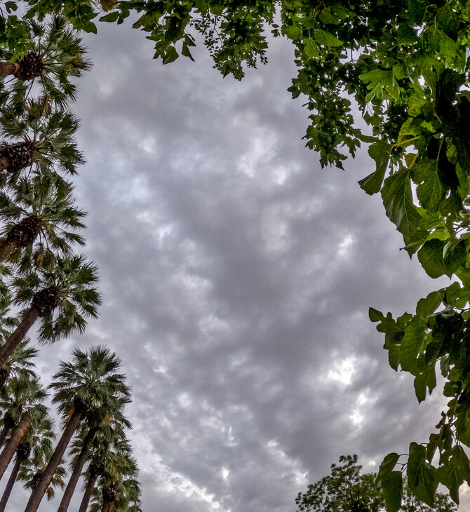 Κακοκαιρία Byron: Κλειστός ο Εθνικός Κήπος - Πότε εξασθενούν τα έντονα φαινόμενα στην Αττική 